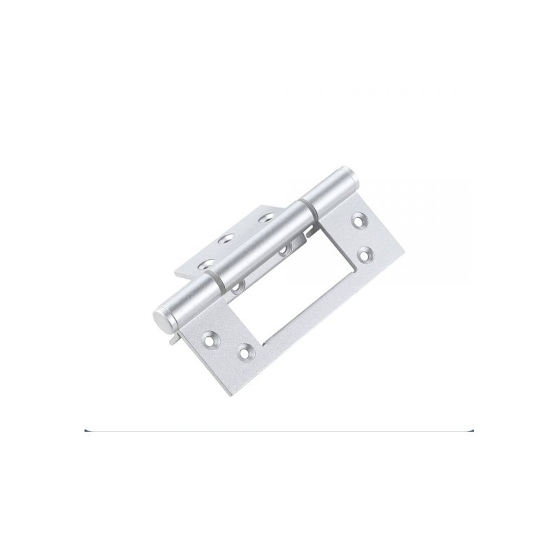 Door Design Customized Aluminum Alloy Spring Loaded Hinge