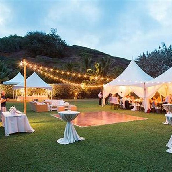 Customized High Quality PVC Coated Wedding Tent